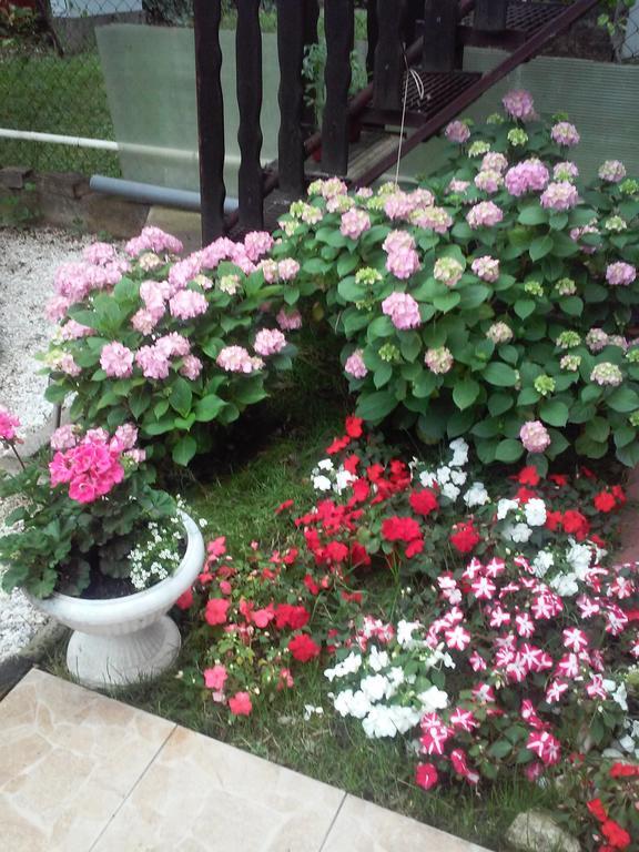 Apartment A&D Pancevo Ngoại thất bức ảnh
