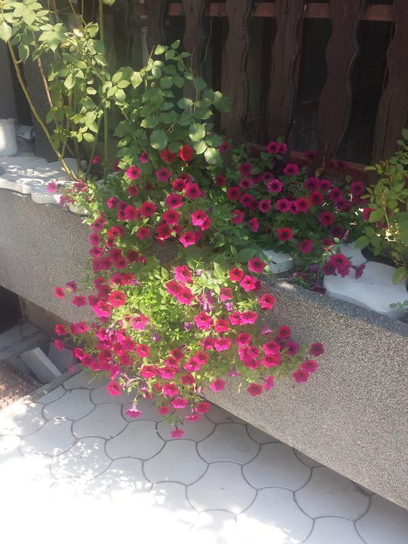 Apartment A&D Pancevo Ngoại thất bức ảnh